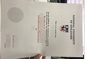replica National University of Singapore diploma