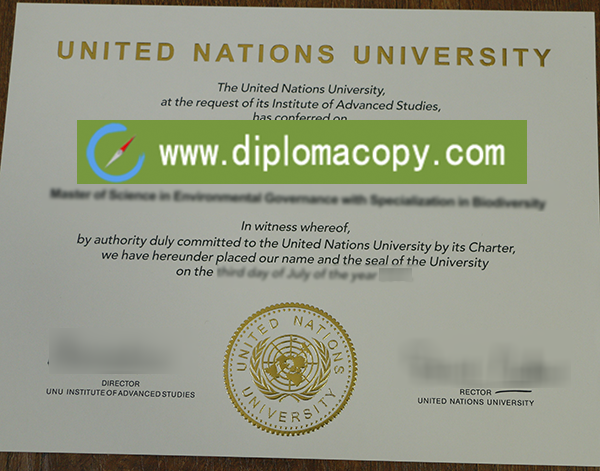 United Nations University diploma for sale
