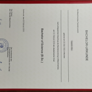TU Dortmund diploma