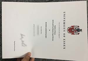 University of Essex diploma