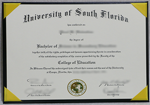 University of South Florida diploma