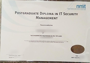 NMIT fake degree