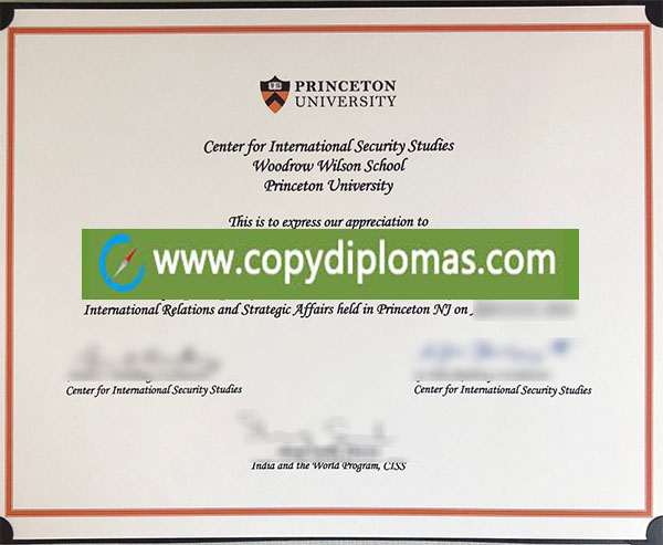 Princeton University degree