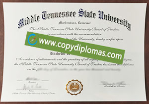 Middle Tennessee State University diploma