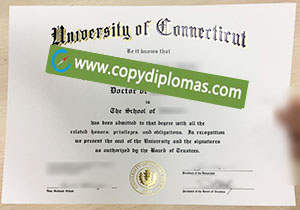 University of Connecticut diploma